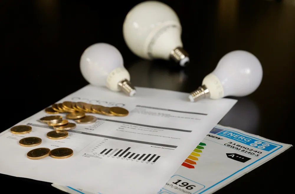 Subsidio de luz y gas