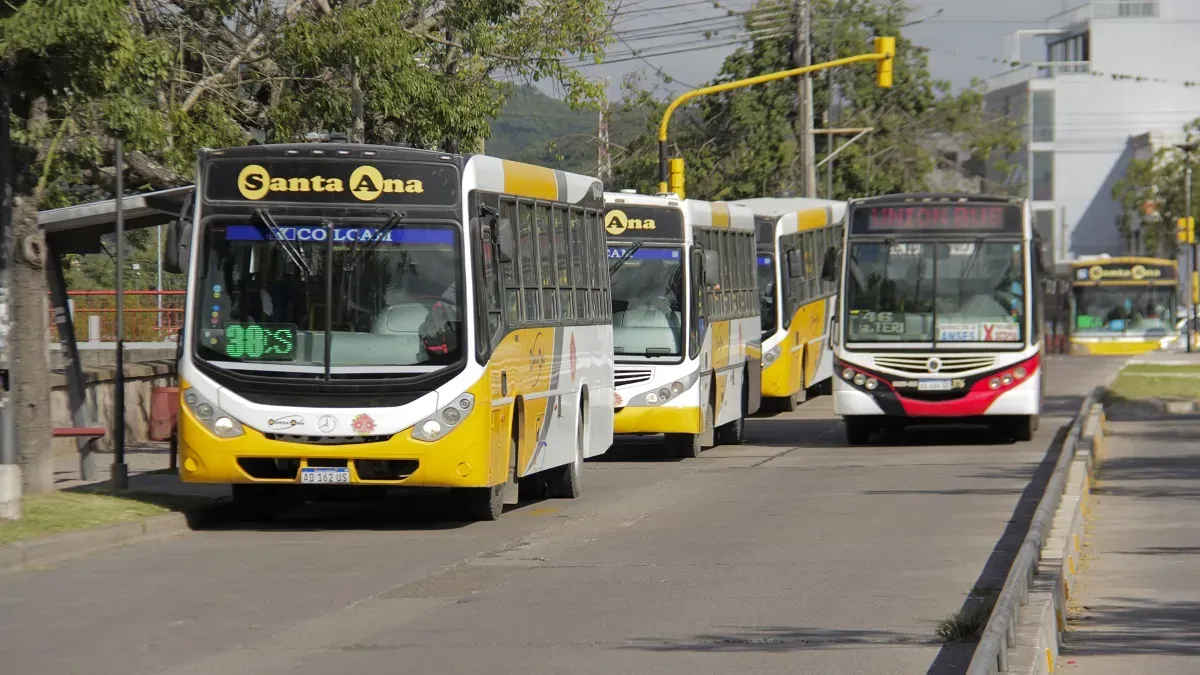 colectivos