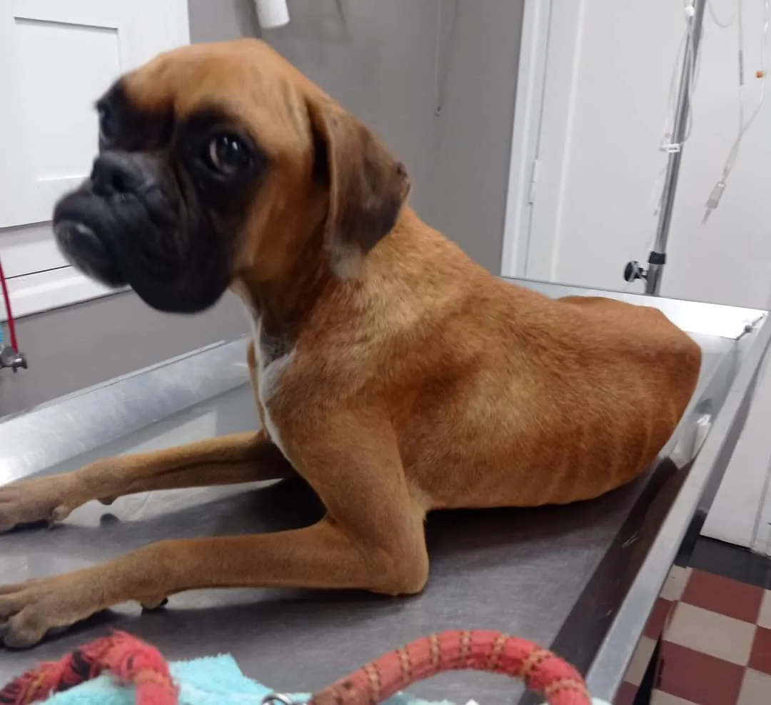 Imagen de WhatsApp 2024-05-06 a las 21.41.29_67a03eeb