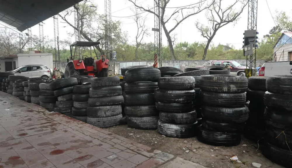 neumaton-Reyes-4-1536x885