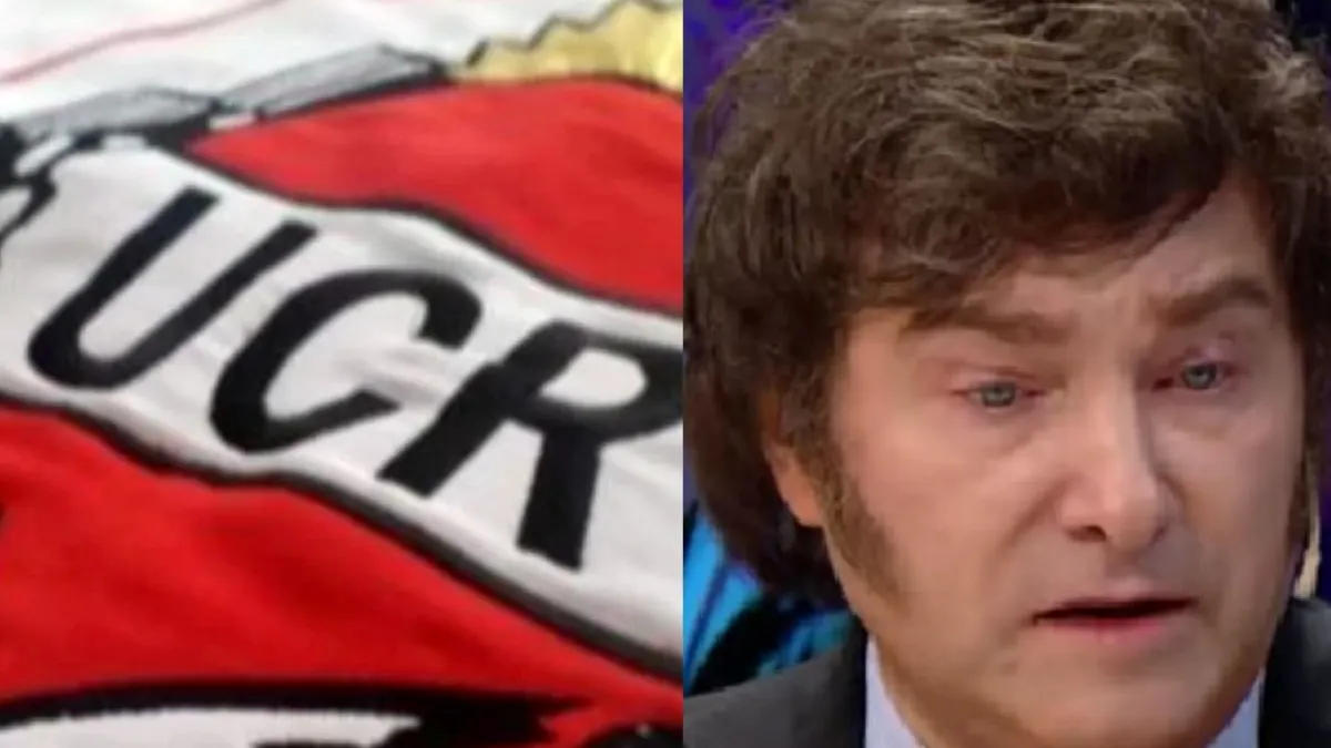 la-ucr-contra-milei