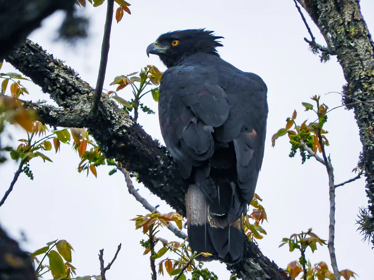 img-20240521-wa0044jpg