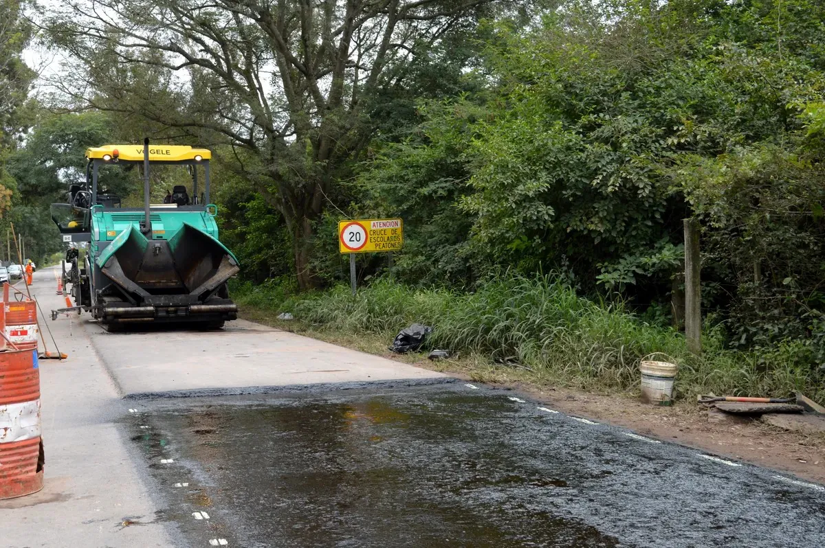 WhatsApp Image 2025-07-08 at 08.16.17