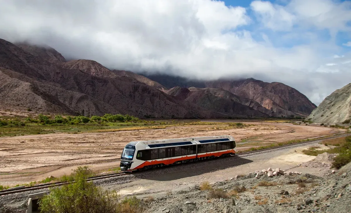 WhatsApp Image 2025-07-08 at 08.02.04