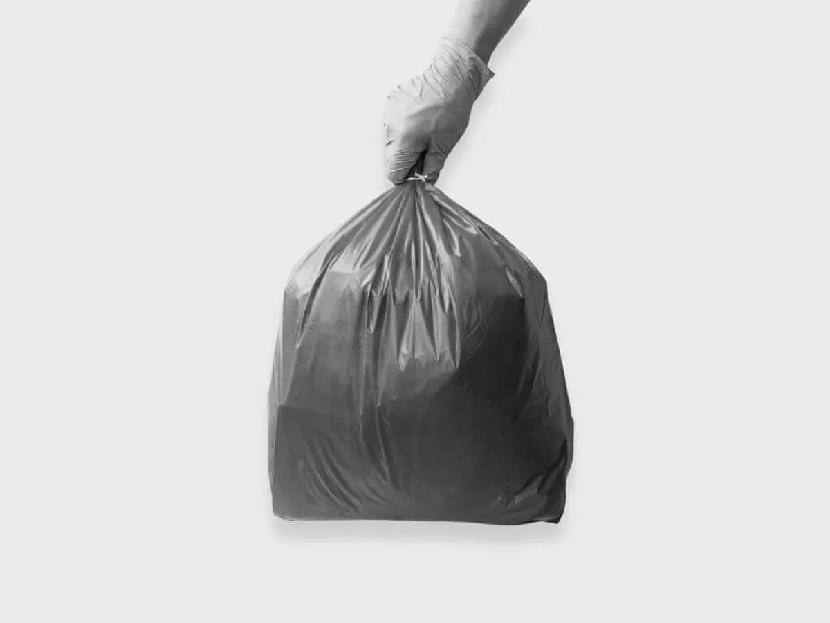 whatsapp-image-2024-02-05-at-214704jpeg