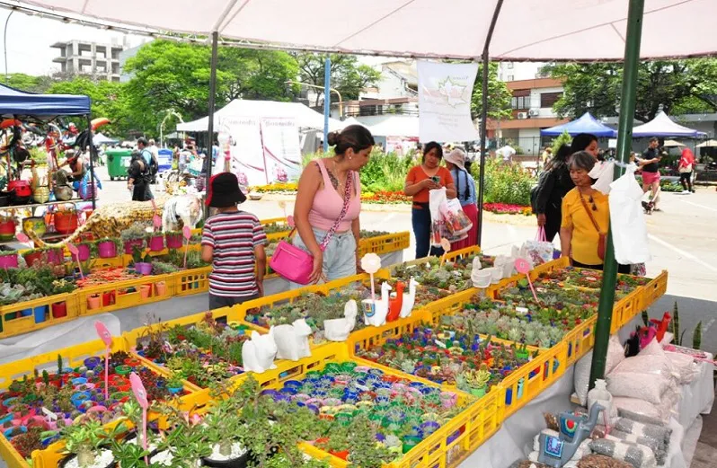 la flor más bella (2)