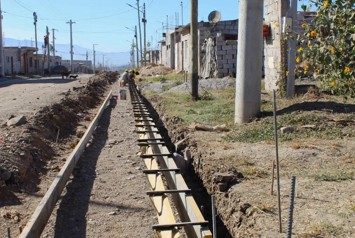 WhatsApp Image 2025-07-02 at 16.28.06