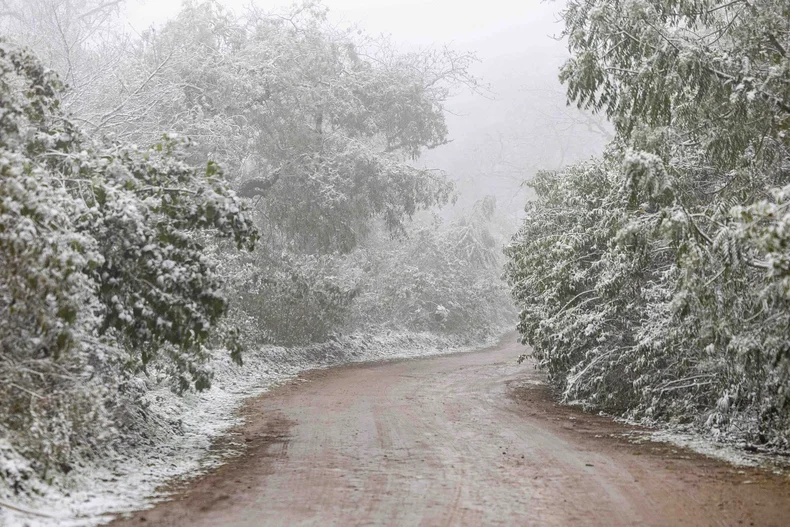 nieve-jujuy (1)