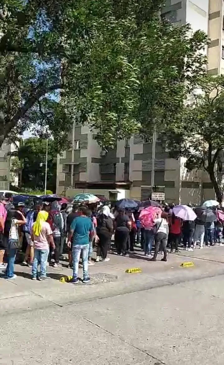 WhatsApp Image 2024-01-24 at 11.12.21