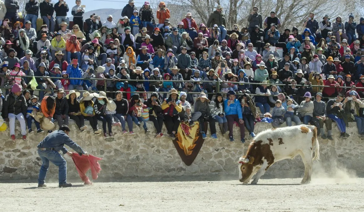 casabindo-toreo-la-vincha